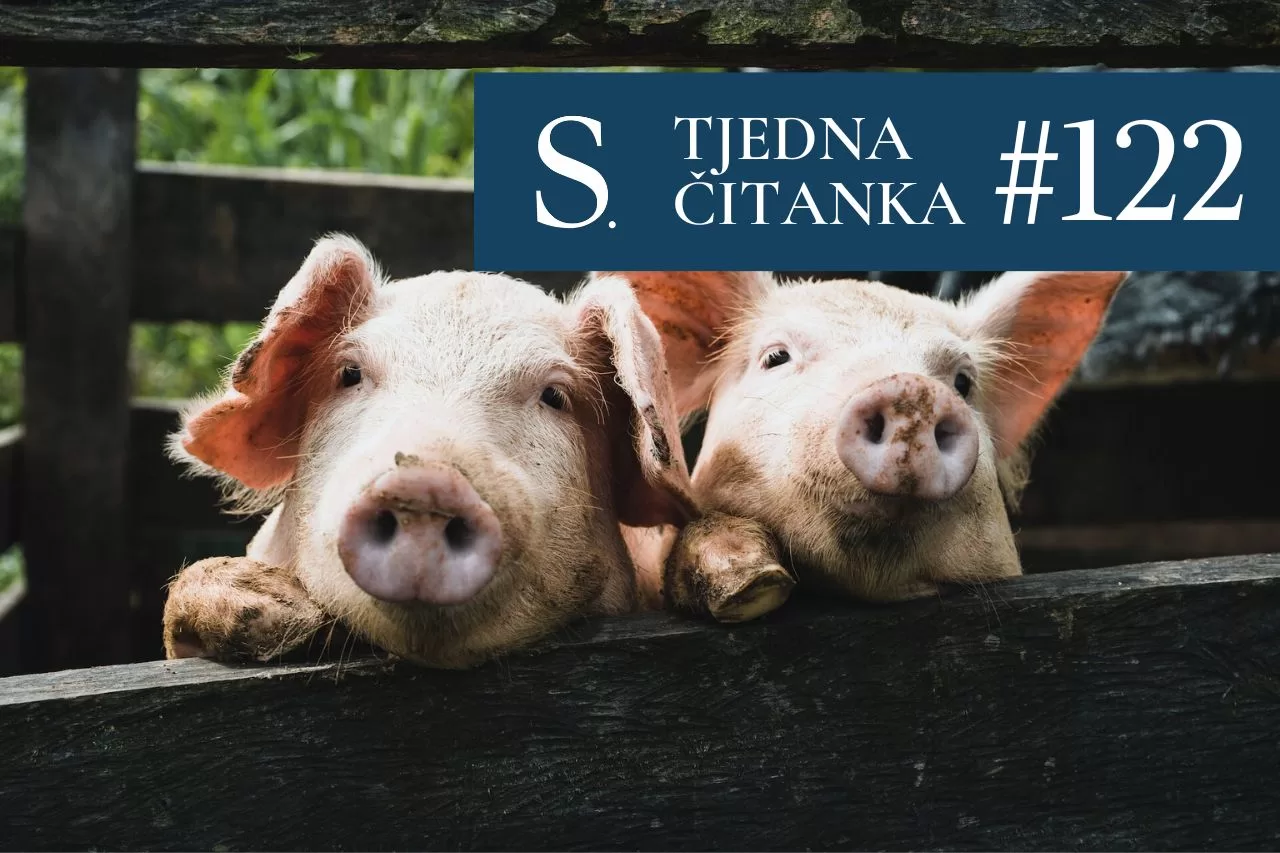 Tjedna čitanka 122 - Cijena svinjskog mesa